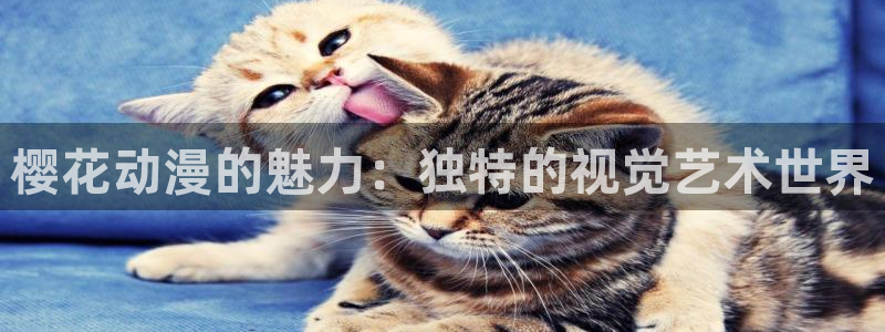 动漫之家正版网
