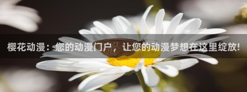 动漫之家正版网