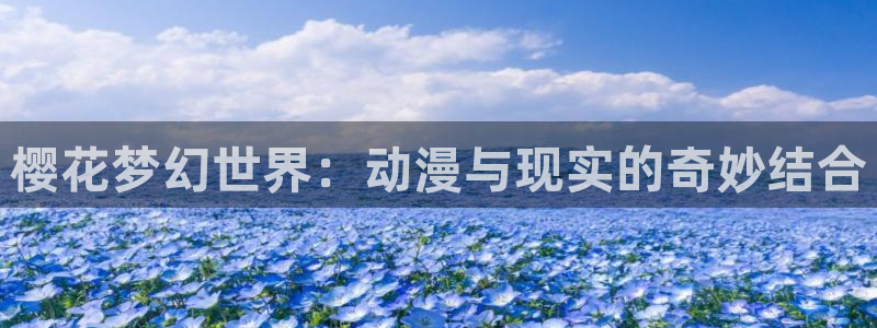 动漫之家下载入口