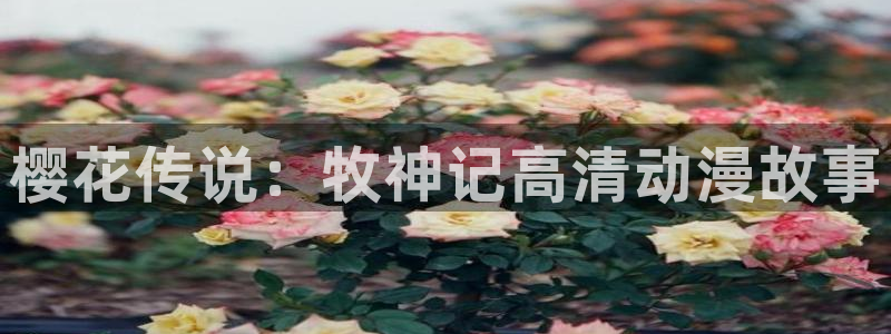 age专注动漫的门户网站