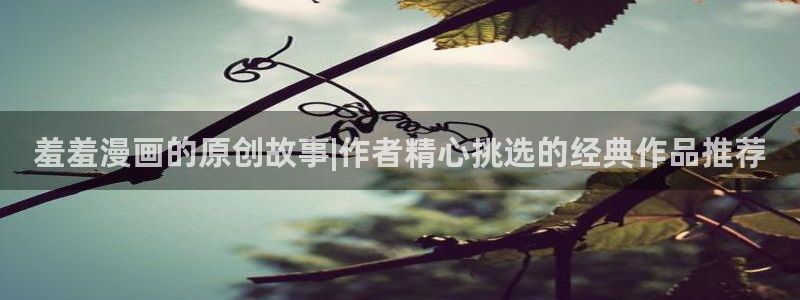 动漫之家官网入口老版本