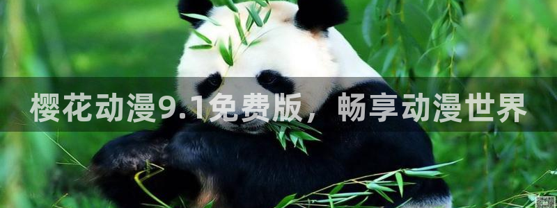 在线动画动漫下载动漫之家