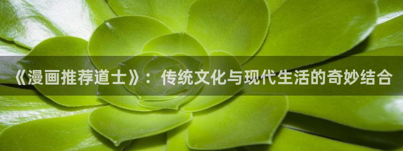 动漫之家