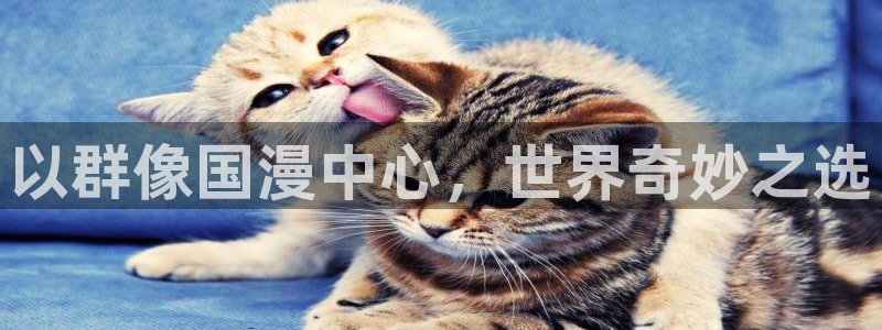 动漫之家正版网