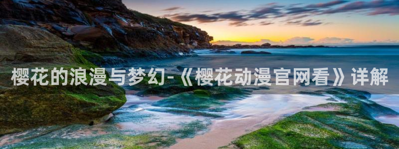 动漫之家官网入口老版本