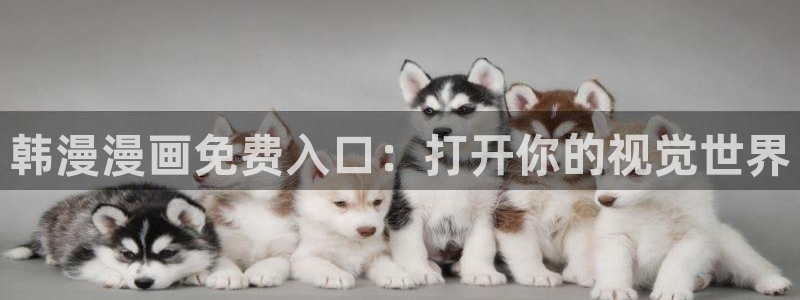 动漫之家下载网：韩漫漫画免费入口：打开你的视觉世界